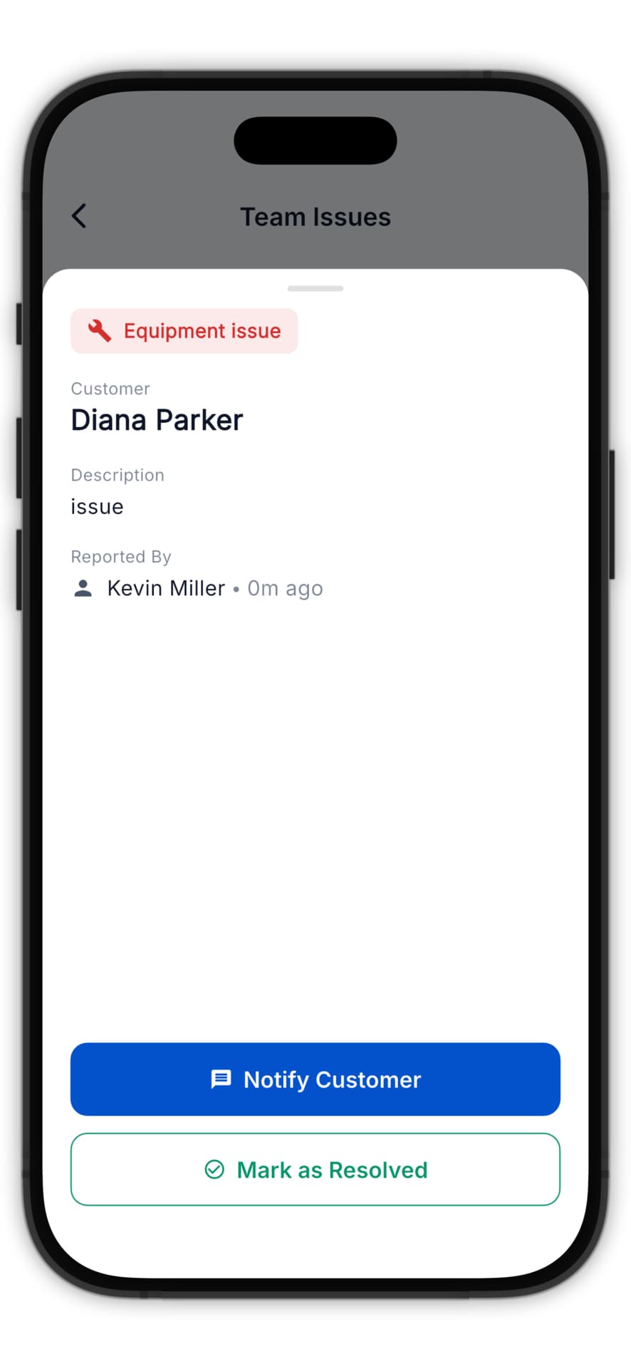 Issue detail with resolution options